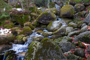 North Bohemia forest Landscape with White Stream, Jizera Mountains, Czech Republic