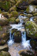 North Bohemia forest Landscape with White Stream, Jizera Mountains, Czech Republic