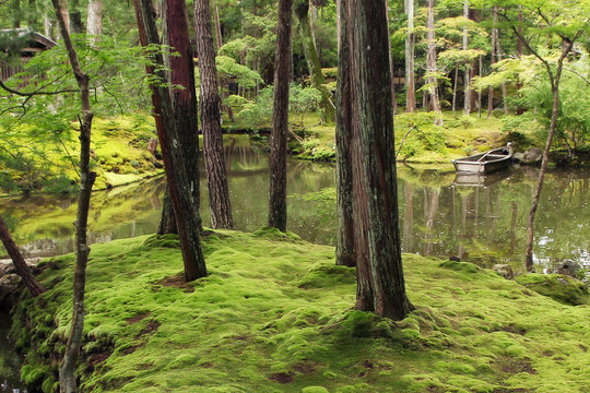 Famous moss garden in Kyoto (Saiho-ji)