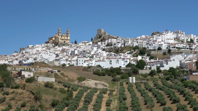 Picturesque sight in the beautiful Olvera, province of Cadiz, Andalusia, Spain.