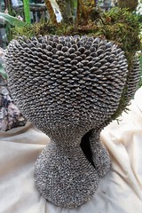 Decorative flower pot with surface made of densely glued sunflower seeds. 