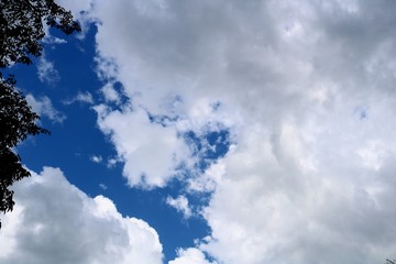空　雲　夏　風景　イメージ　日本