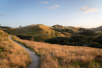 sunrise in the hills in new zealand