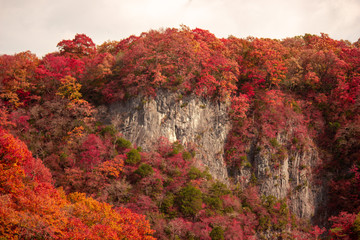 rocky mountains in fall, red and orange, in Hiroshima