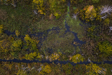 Nature and landscape: aerial view of forest and lakes, autumn leaves, foliage, greenery and trees in wilderness landscape.