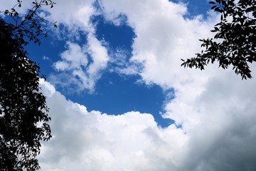 空　雲　夏　風景　イメージ　日本