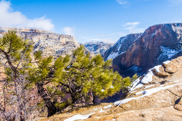 View of winter Zion Canyon from Angels Landgin trail