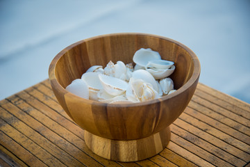 Seashells in a bowl 