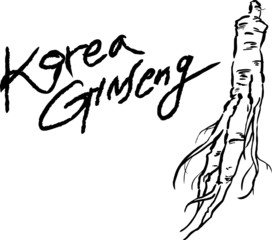 korean ginseng root