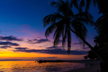 Fototapeta na wymiar Colorful sunset on the ocean. Sunset meetings at the beach. Tropical sunset with palm trees