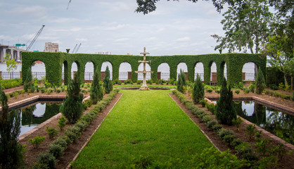 Lush garden landscape