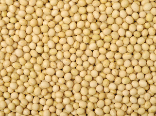 Soybean background