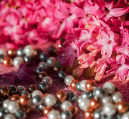 blooming hyacinth and beads. flowers and decorations. spring flowers. pink hyacinth. thickets of pink flowers in the bright sun in the summer garden