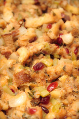 Close Up of Stuffing with Cranberries