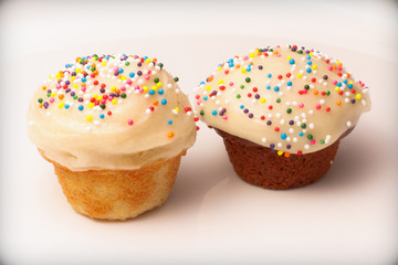 Chocolate and Vanilla Cupcakes with Rainbow Sprinkles