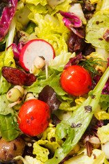 Salad Close Up with Radishes and Tomatoes