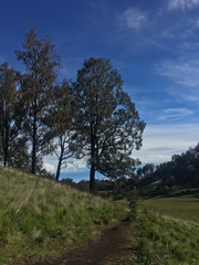 Obraz premium Wonderfull morning with cloudy sunrises on savana mount lawu central java