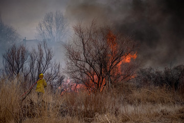 Firefighter Uses a Hose to Fight a Wildfire