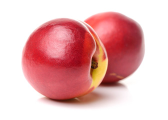 nectarine on a white background