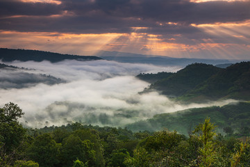 Phu Pha Nong, Landscape sea of mist  in border  of  Thailand and Laos, Loei  province Thailand.