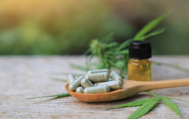 cannabis oil extracting with medicine for health care and remedy healthy eating 