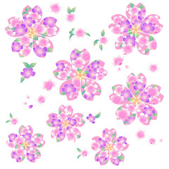 Traditional cherry blossom illustration Japanese style beautifully,