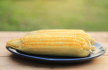 boiled corn on dish for healthy eating 