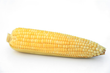 Yellow corn boiled or cooked for food editing  