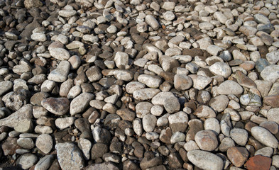 Pebble stone background. Sea Pebble. Beach stones. Natural background. Stone texture