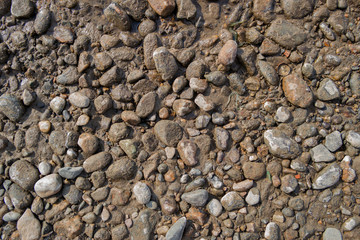 Pebble stone background. Sea Pebble. Beach stones. Natural background. Stone texture
