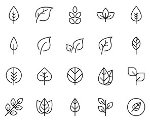 Leaf line icon