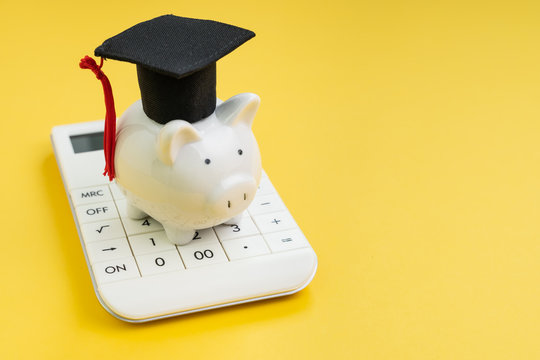 Student loan payment calculation, scholarship or saving for school and education concept, white piggy bank wearing graduation hat on calculator on yellow background with copy space