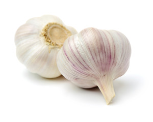 fresh garlic isolated on white background 
