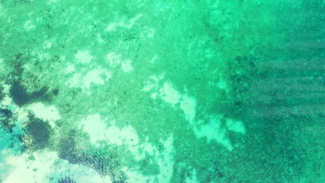 Beautiful colorful abstract pattern of sea bottom with coral reefs, pebbles and algae under calm clear water in Philippines
