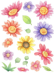 Colorful flowers and leaves watercolor clip art. Isolated on white background. Vector illustration. Perfect for sticker, element, scrapbook, card, etc.