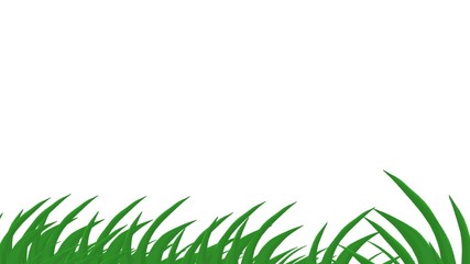 background with green leaves