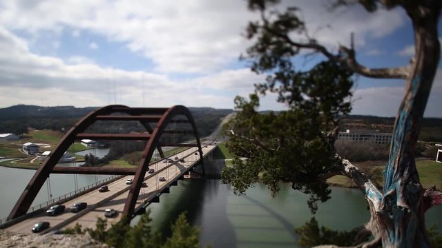 Austin Pennybacker Bridge, focus shifted to highlight center of bridge and cedar tree overlooking the river. Tree has been painted blue and chained with a lock.