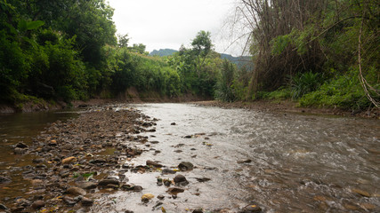 River stream with trees around it. Water flows with a small discharge