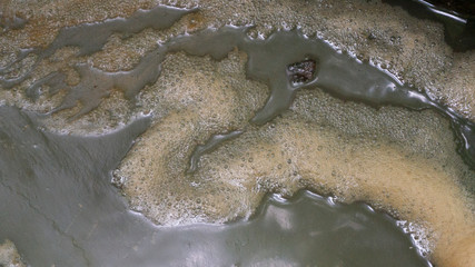 Scum bubbles floating on a surface of polluted water