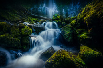 Fototapeta na wymiar Water Fall and Stream in rain Forest