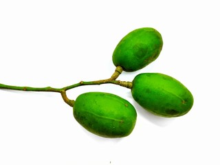 Spondias dulcis isolated on white background