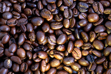 Isolated textured background macro coffee beans with space for text