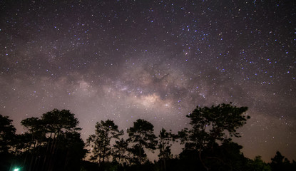 Obraz na płótnie Canvas milky way in night sky