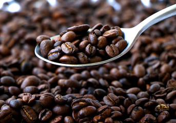 Spoon of coffee beans over a textured background with space for text