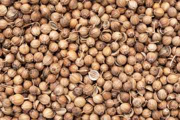 Coriander Seed, many seeds closeup detail, macro, common aromatic spice, dried Coriander, backgrounds and textures.