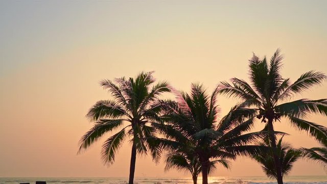 Beautiful pink pastel sky with wide palm trees in foreground and sunlight reflecting on the surface of the ocean. Waves breaking on an island shore with stunning sunset colors.