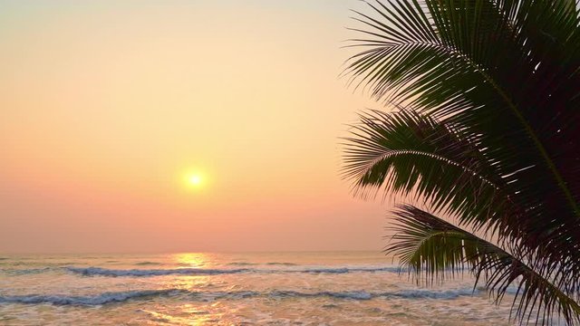 Amazing pink pastel gradient sunset with gentle waves rolling toward shore on a tropical island framed by palm trees. Peaceful relaxing summer colors of sun on ocean. Slow motion, PAN LEFT.