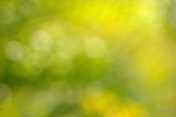 Abstract circular yellow green bokeh background
