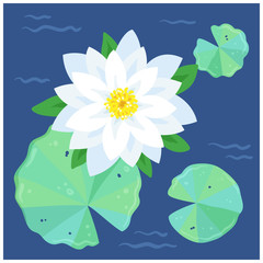 Flowering pond.  White  lily and green leaves on a classic blue background. Vector flat illustration