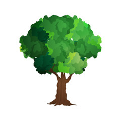 Green tree isolated on a white background. Vector tree. Element for the design of parks, cities and squares. Detail for game design.